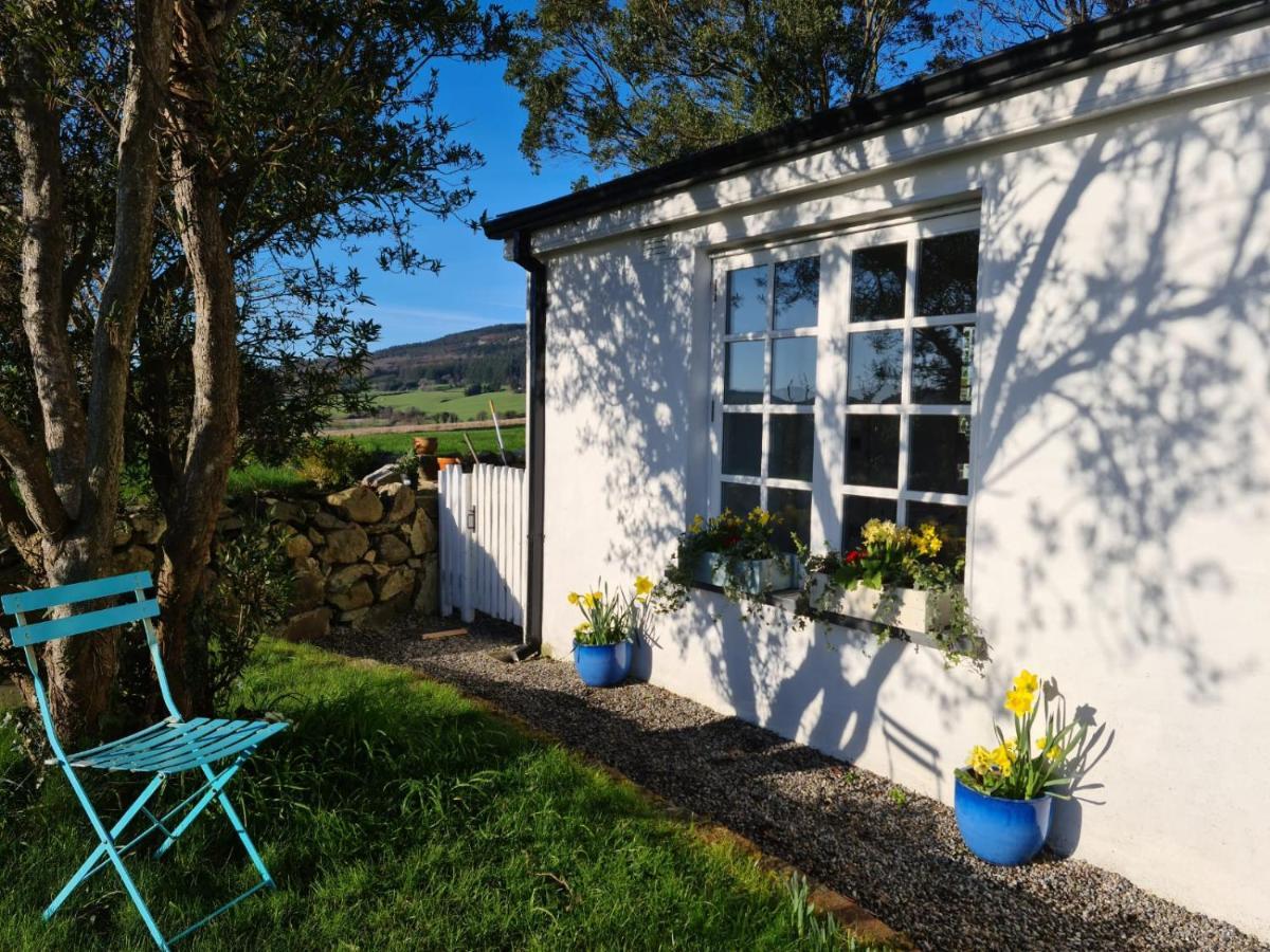 Ashford Lynam Cottage מראה חיצוני תמונה